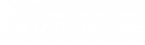 Microsoft Dynamics 365 Partner Consultant