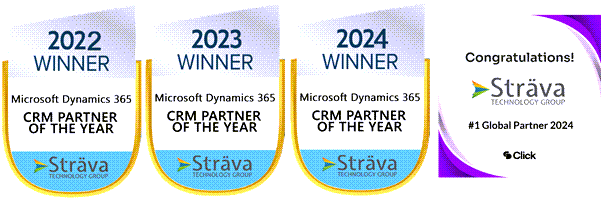 Dynamics 365 partner